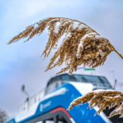 Havas komp a révben