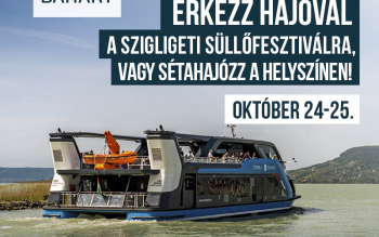 SÜllő feszt